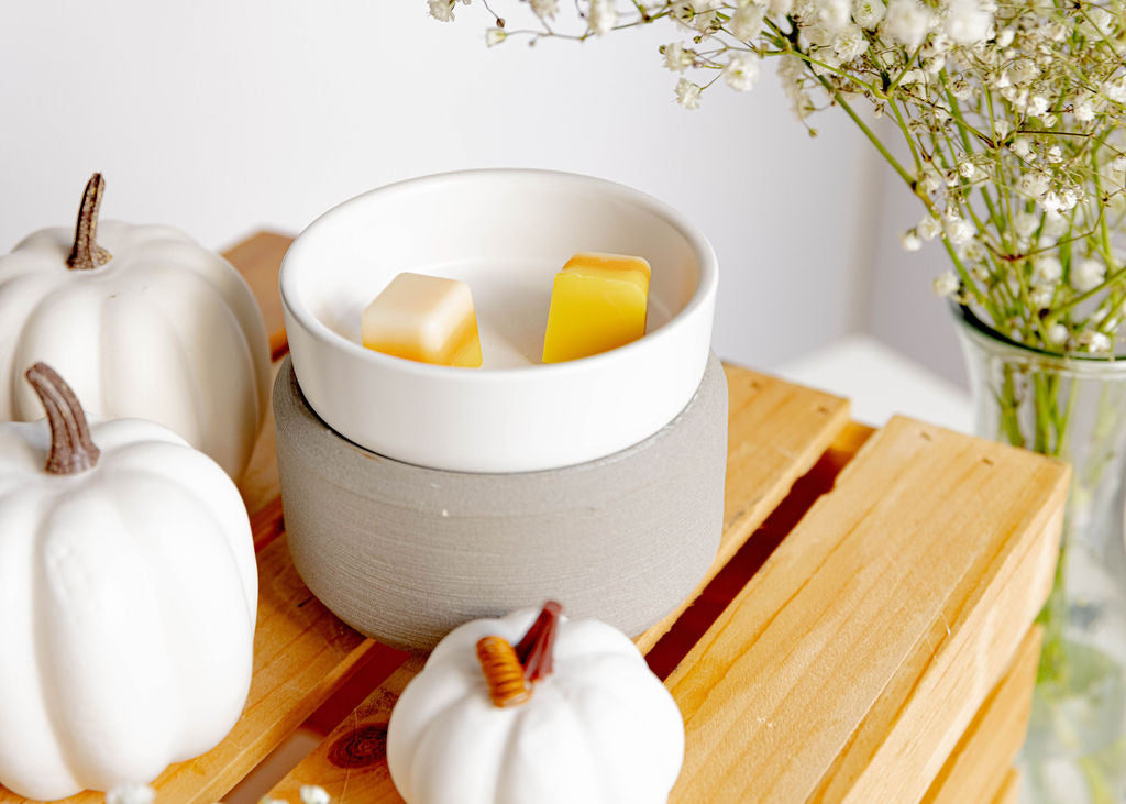 Embrace the Aroma of Learning: The Benefits of Wax Melts and Going Back to School