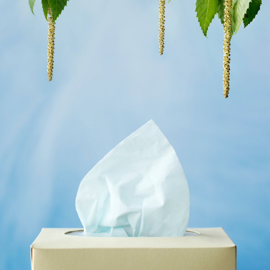 Natural Remedies for Summer Allergies: Find Relief the Natural Way