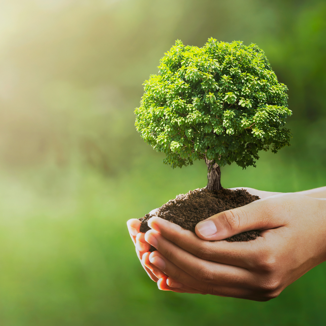 Illuminating Earth Day: The Sustainable Spark of Soy Wax Candles