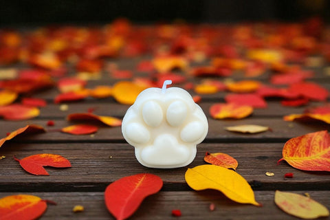 Limited Edition: 🐾 Paw Print Soy Pillar Candle