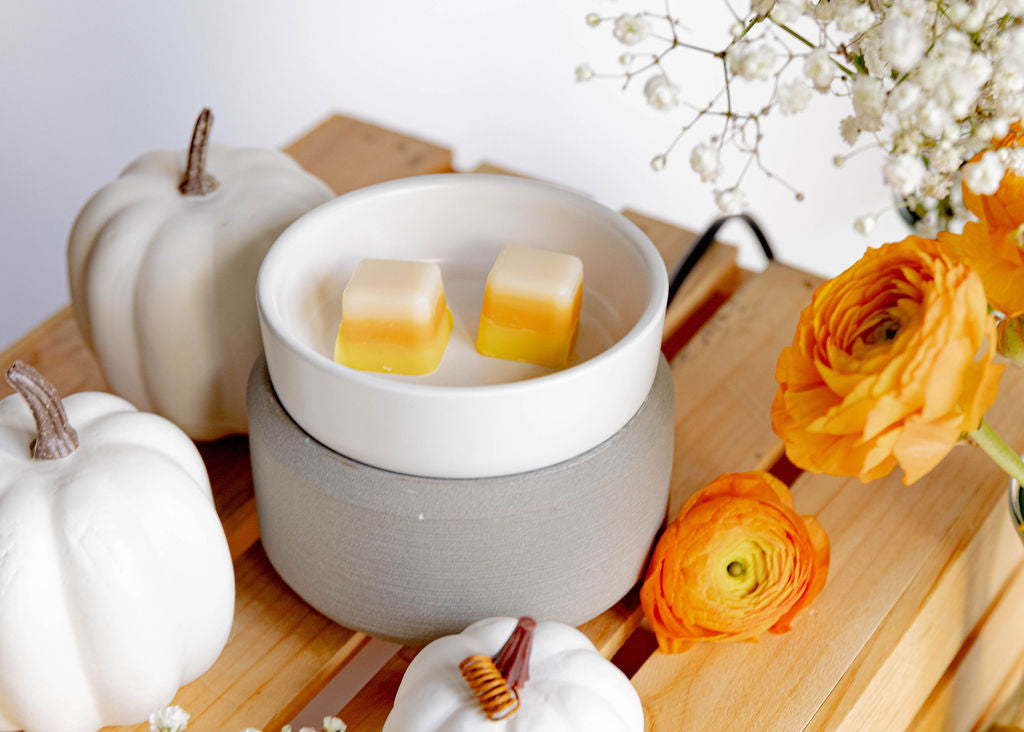 Wax Melts Wax Melts