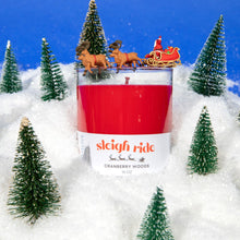 Sleigh Ride!